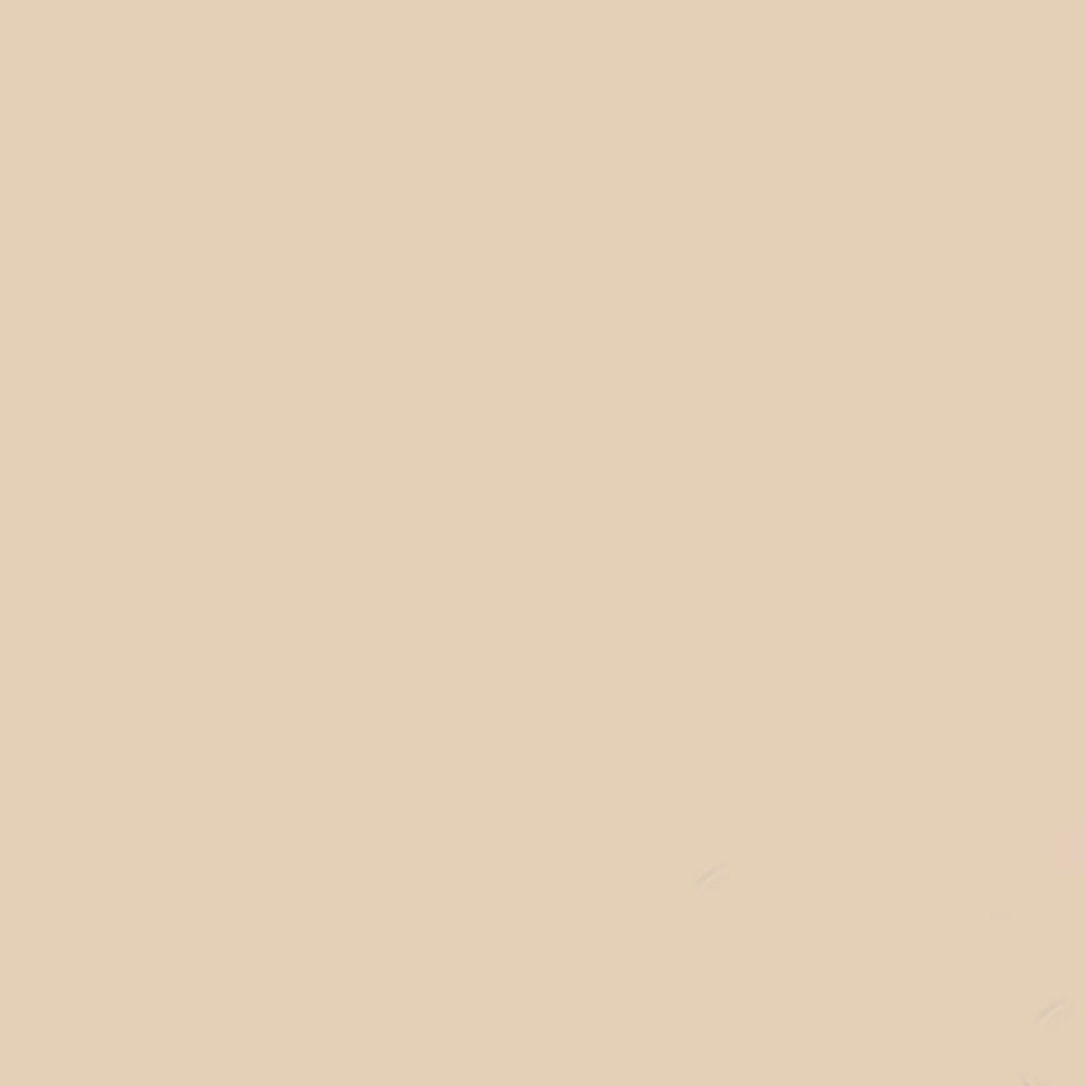 Gdx Kağıt Sonsuz Stüdyo Fon Perde (Egg Nog) 2.70x11 Metre